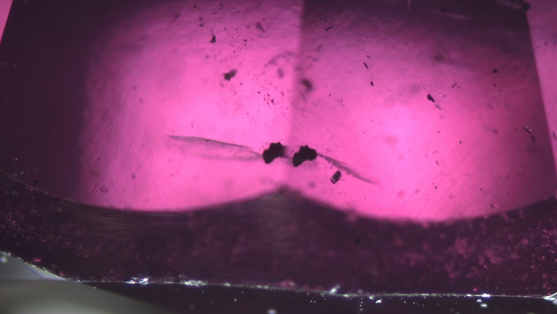 Kashmir (Pakistan)  purple pink sapphire