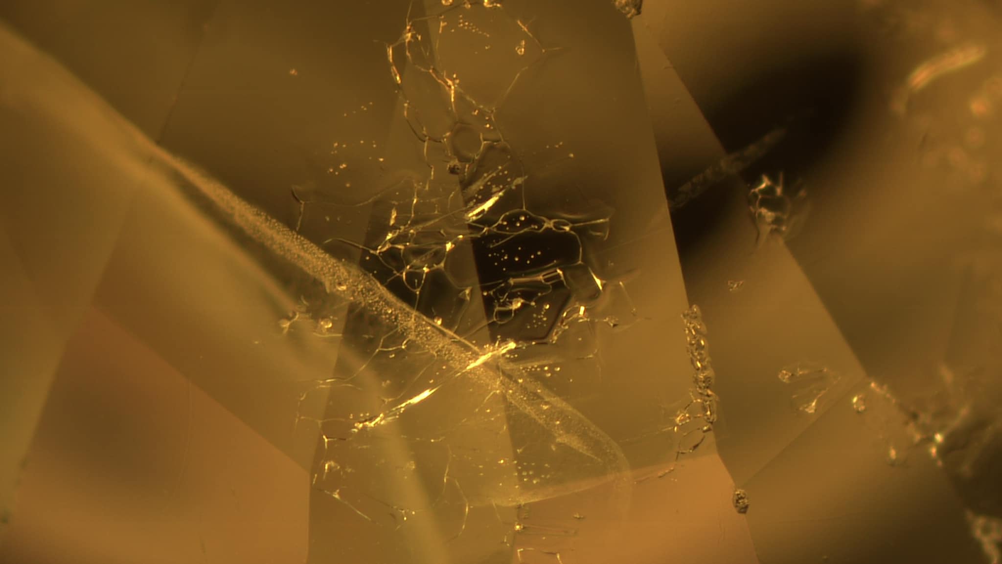 Showing results for recrystallization during cooling.