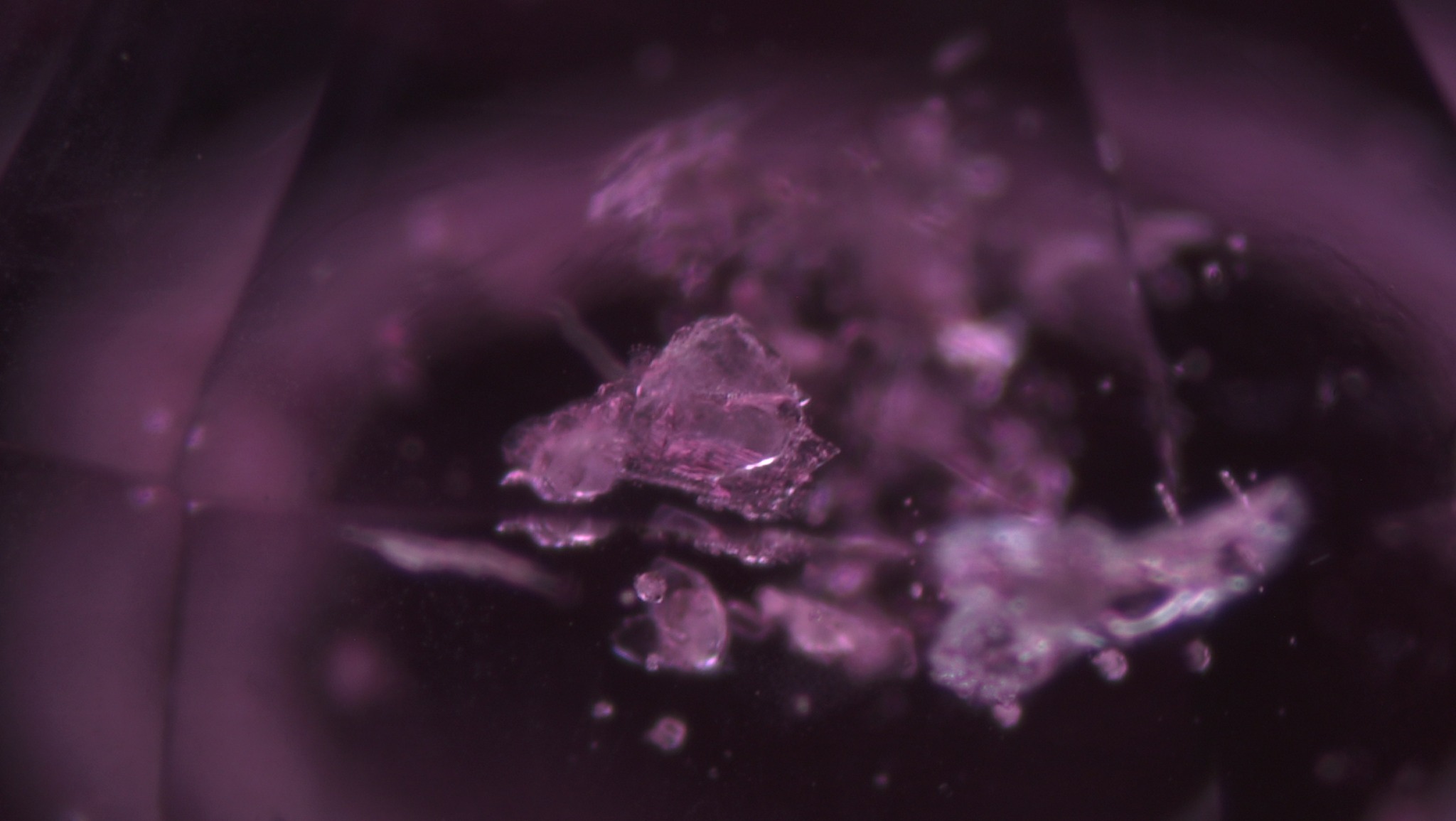 A group of small zircon crystals in an unheated purplish pink sapphire from Madagascar.